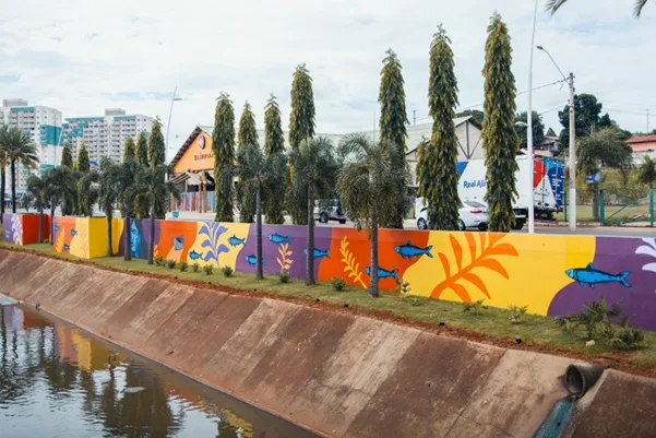 Imagem divulgação do projeto CIDADE VIVA - foto de Olímpia/SP.